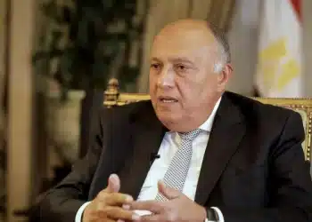 شكري يبحث مع وزير خارجية السويد آخر تطورات الأوضاع في السودان