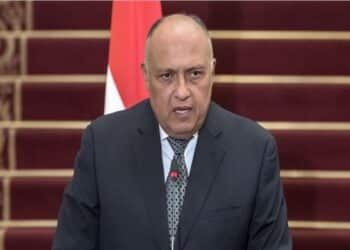 التطورات في السودان.. وزير الخارجية يجري اتصالا هاتفيا مع رئيس مفوضية الاتحاد الإفريقي