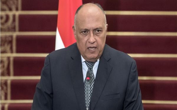التطورات في السودان.. وزير الخارجية يجري اتصالا هاتفيا مع رئيس مفوضية الاتحاد الإفريقي