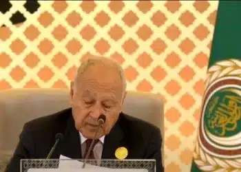 أبو الغيط: الجانب العربي يطرح التهدئة وينبغي أن تلتقط تركيا وإيران تحديدا هذا الخيط