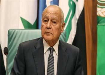أحمد أبو الغيط
