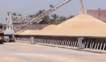 “التموين”: استلام 1.9 مليون طن قمح محلي حتى الآن