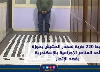 ضبط 220 طربة لمخدر الحشيش في الإسكندرية