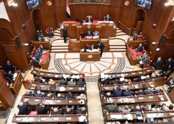 برلماني يطالب الحكومة بسرعة تنفيذ توجيهات الرئيس بالاستغلال الأمثل للثروة المعدنية