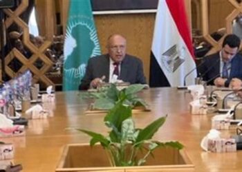 تفاصيل لقاء وزير الخارجية بالسفراء الأفارقة المعتمدين في القاهرة