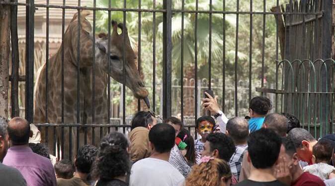 حديقة الحيوان