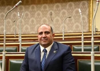 محمد سليم عضو لجنة الصحة بمجلس النواب