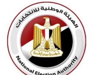 المستشار وليد حمزة رئيسًا.. قرار جمهوري باستكمال تشكيل الهيئة الوطنية للانتخابات