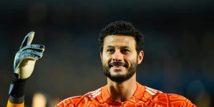 محمد الشناوي