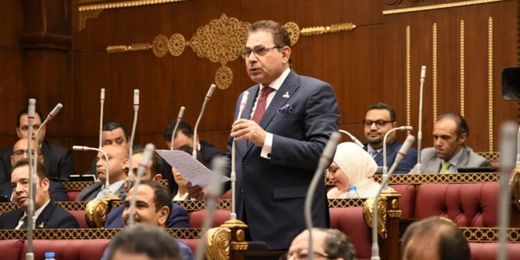 برلماني: الرئيس السيسي نجح في إصلاح بوصلة العلاقات المصرية الإفريقية