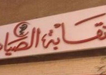 دبلومة مهنية متقدمة للصيادلة في صناعة مستحضرات التجميل 4 أغسطس المقبل