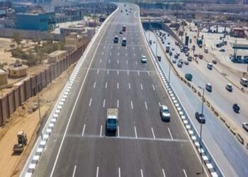 محور عدلي منصور