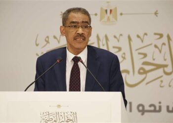 ضياء رشوان: لا نضع سياسات إلزامية لأحد ولسنا جهة لمحاسبة الحكومة