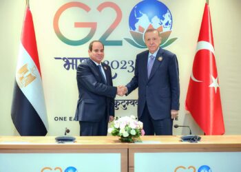 الرئيس السيسي يلتقي نظيره التركي لبحث تعزيز العلاقات على هامش قمة العشرين