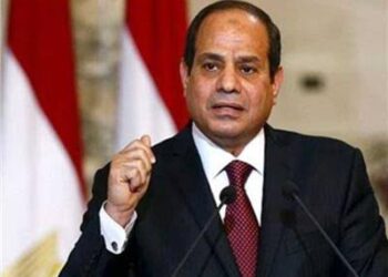 حماة الوطن :نقف صفا واحدا خلف الرئيس السيسي لدعم القضية الفلسطينية