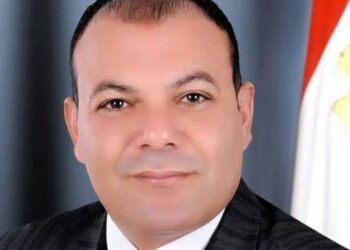 النائب عبدالله لاشين، عضو مجلس النواب