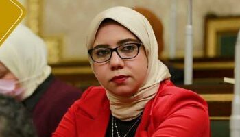 النائبة هيام الطباخ، عضو مجلس النواب