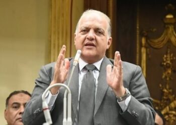 السويدي: تفاعل المصريين في الخارج يعكس وحدة الوطن والتضامن مع القيادة السياسية