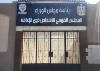 “القومي لذوي الإعاقة” يشارك في مراجعة الخطة الوطنية للطفولة والأمومة