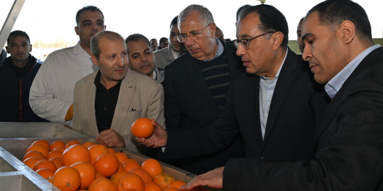 مدبولي يؤكد أهمية تحفيز القطاع الخاص لزيادة الإنتاج من الموالح