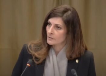 خارجية النواب: ياسمين موسى أكدت دور المرأة في صنع القرار بمرافعة العدل الدولية