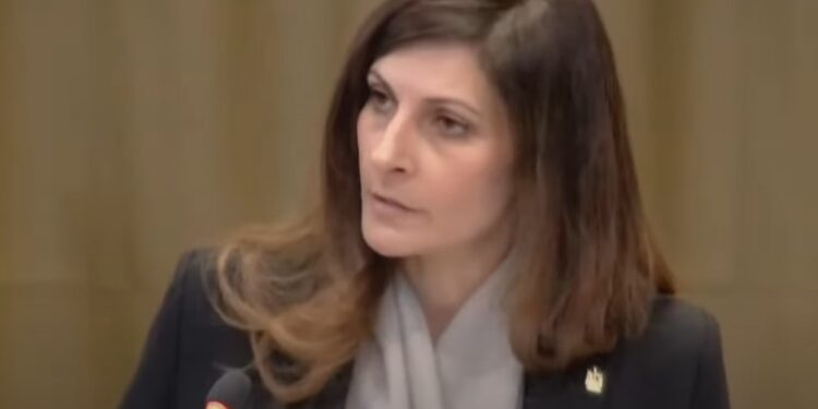 خارجية النواب: ياسمين موسى أكدت دور المرأة في صنع القرار بمرافعة العدل الدولية