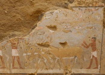 كشف أثرى لـ”مصطبة” من عصر الدولة الفرعونية القديمة بدهشور