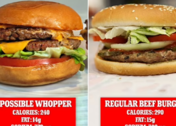 دراسة: البرجر النباتى يزيد خطر الإصابة بمرض السكرى ومشاكل القلب