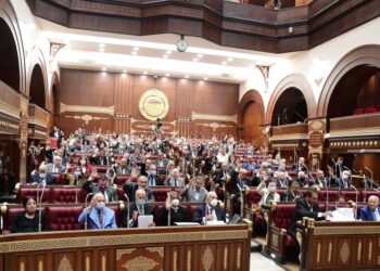 “رئيس مجلس الشيوخ: الحبس الاحتياطي يخضع لضوابط قانونية دقيقة ولا داعي للقلق”