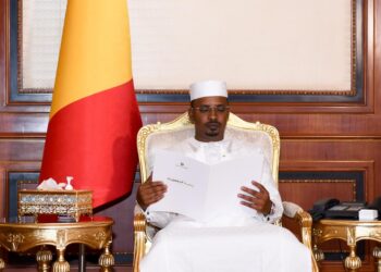 وزير الخارجية بدر عبد العاطي يلتقي رئيس تشاد ويحمل رسالة من الرئيس السيسي لتعزيز العلاقات الثنائية