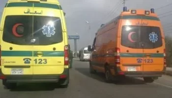 “12 مصابًا في حادث انقلاب سيارة ميكروباص على طريق القاهرة أسيوط الصحراوي”
