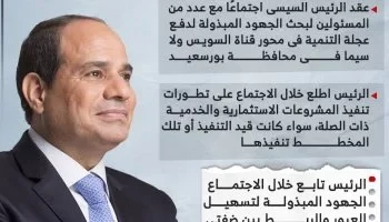 الرئيس السيسي يوجه بتسريع مشروعات قناة السويس وسط انخفاض الإيرادات بنسبة 60%