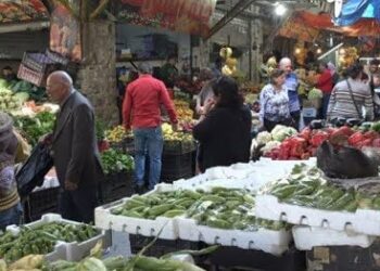 “سوق اليوم الواحد يواصل توفير الخضروات والسلع الغذائية بأسعار تنافسية”