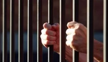 إحالة طالب لفضيلة المفتي لقتله والده بالقليوبية.. والنطق بالحكم في مارس المقبل