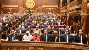 مجلس الشيوخ يناقش تطوير التعليم العالي والبحث العلمي في مصر