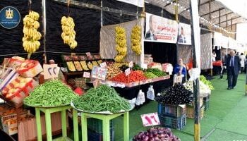 محافظة القاهرة تنظم سوق اليوم الواحد لتوفير السلع بأسعار مخفضة