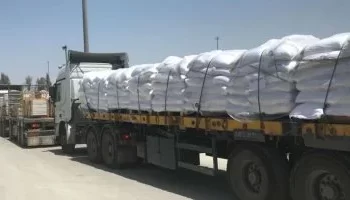 “222 شاحنة مساعدات تدخل غزة ضمن اتفاق وقف إطلاق النار”