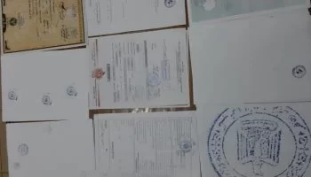 حقوق الزوجة في مواجهة الإكراه على التنازل داخل محاكم الأسرة