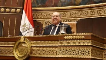 مجلس الشيوخ يدعو إلى حلول جادة لإنقاذ المصانع المتعثرة وإعادة تشغيلها