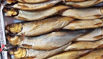 الصحة تحذر من تناول الأسماك المملحة الفاسدة وتوفر مصل التسمم بالمجان