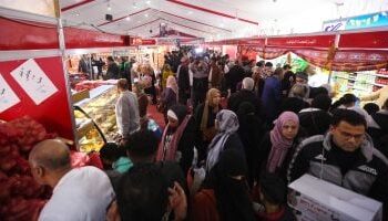 وزارة الزراعة تطرح 80 سلعة غذائية بأسعار مخفضة عبر منافذها ومعارضها