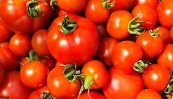 الولايات المتحدة تفرض رسومًا جمركية على واردات الطماطم من المكسيك لتصعيد التوترات التجارية