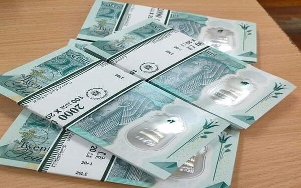 الحكومة: العملات البلاستيكية فئة الـ10 و20 جنيهًا سارية ومستمرة دون توقف