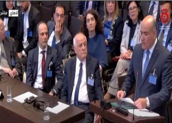 مندوب مصر أمام محكمة العدل الدولية: معظم ضحايا العدوان الإسرائيلي على غزة من النساء والأطفال