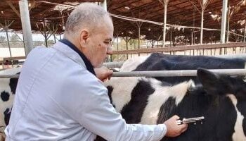 محافظ الجيزة يواصل دعم الثروة الحيوانية