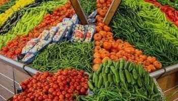 “التموين” تطرح خضراوات وفاكهة بتخفيضات 25% وتواصل صرف منحة الدعم الإضافي خلال أبريل