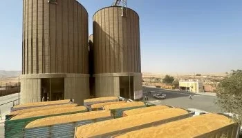 وزارة التموين تتخذ إجراءات لتيسير توريد الأقماح في موسم 2025 بمحافظة قنا