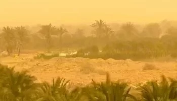 الأرصاد: عواصف رملية ورياح شديدة تضرب البلاد اليوم بسبب منخفض خماسيني.. وأمطار رعدية متوقعة في بعض المناطق