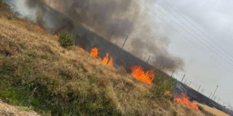 حريق يشل حركة السكة الحديد في إسرائيل