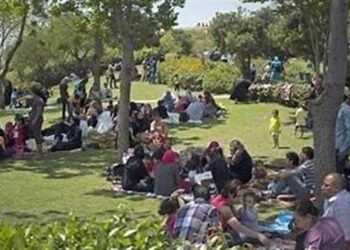 التنمية المحلية تكشف عن استعدادات موسعة لتأمين احتفالات شم النسيم